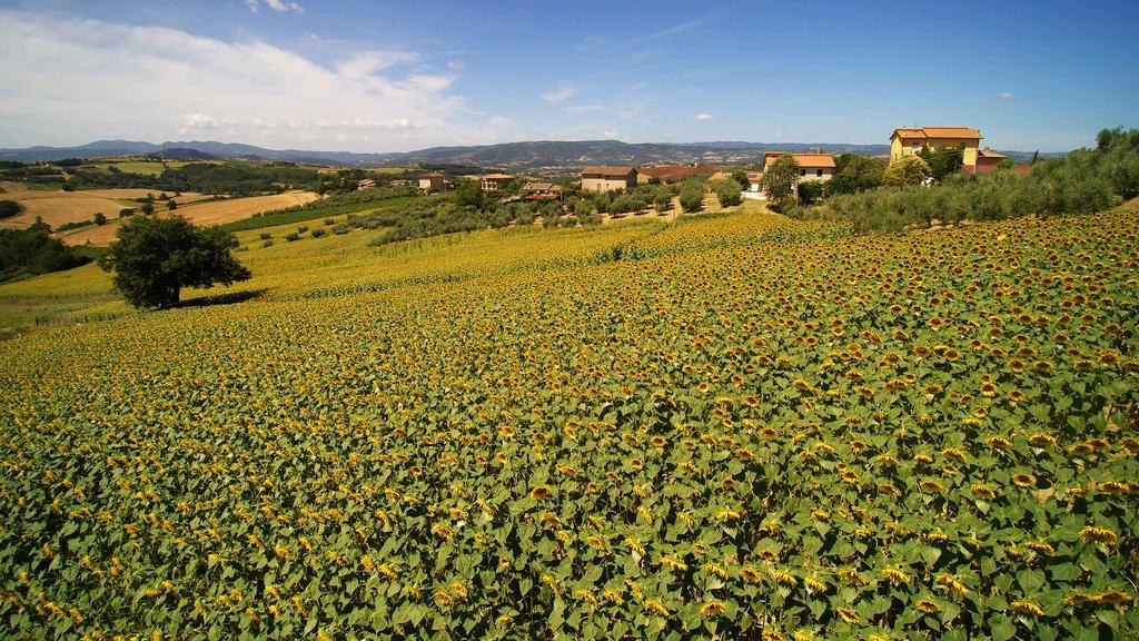 Colle San Giovanni Тоди Экстерьер фото